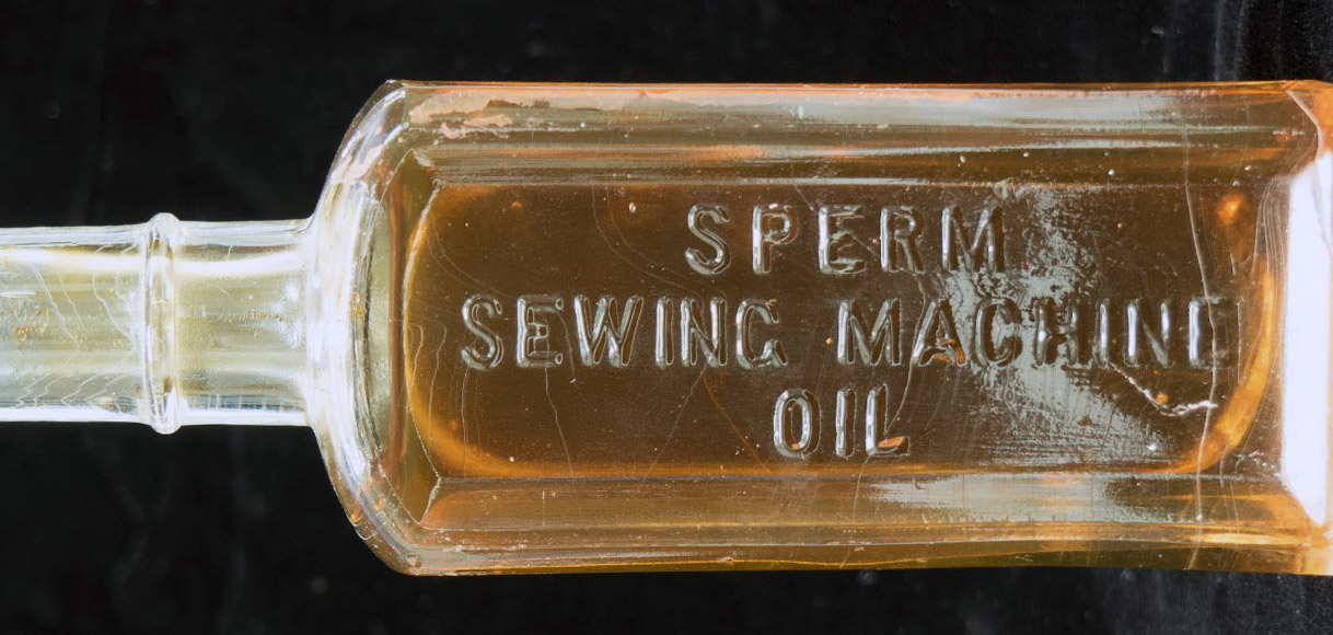 A sperm sewing machine oil bottle from Aarhus – The Queensland Museum  Network Blog